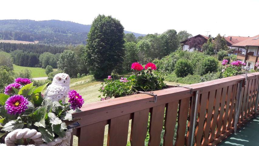 Ferienwohnung für 6 Personen, mit Balkon, kinderfreundlich in Bodenmais
