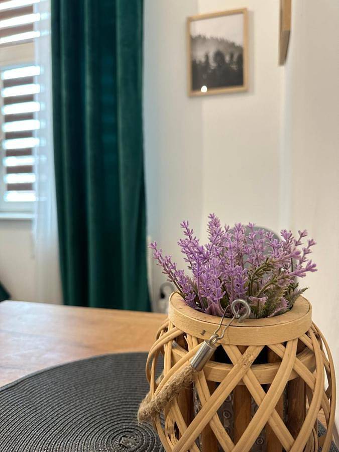 Cały apartament, One-Bedroom Apartment in Tomaszów Mazowiecki, Województwo łódzkie