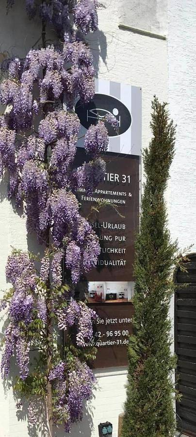 Maison d’hôte pour 2 personnes, avec vue à Lieser - 3