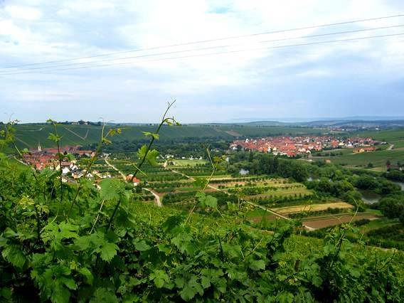Ferienhaus für 8 Personen, mit Garten in Fränkisches Weinland - 3