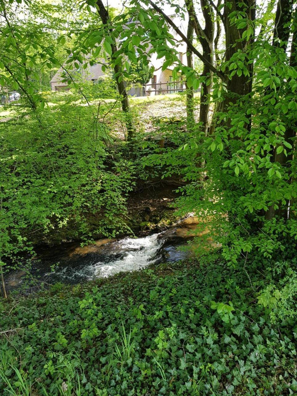 Appartement entier, Gite de Saint Bale in Vrigne-aux-Bois, Ardennes