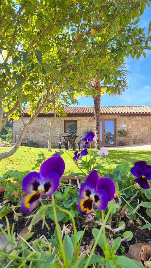 Casa de férias para 6 pessoas, com jardim e piscina e ainda vista, com animais de estimação em Covilhã