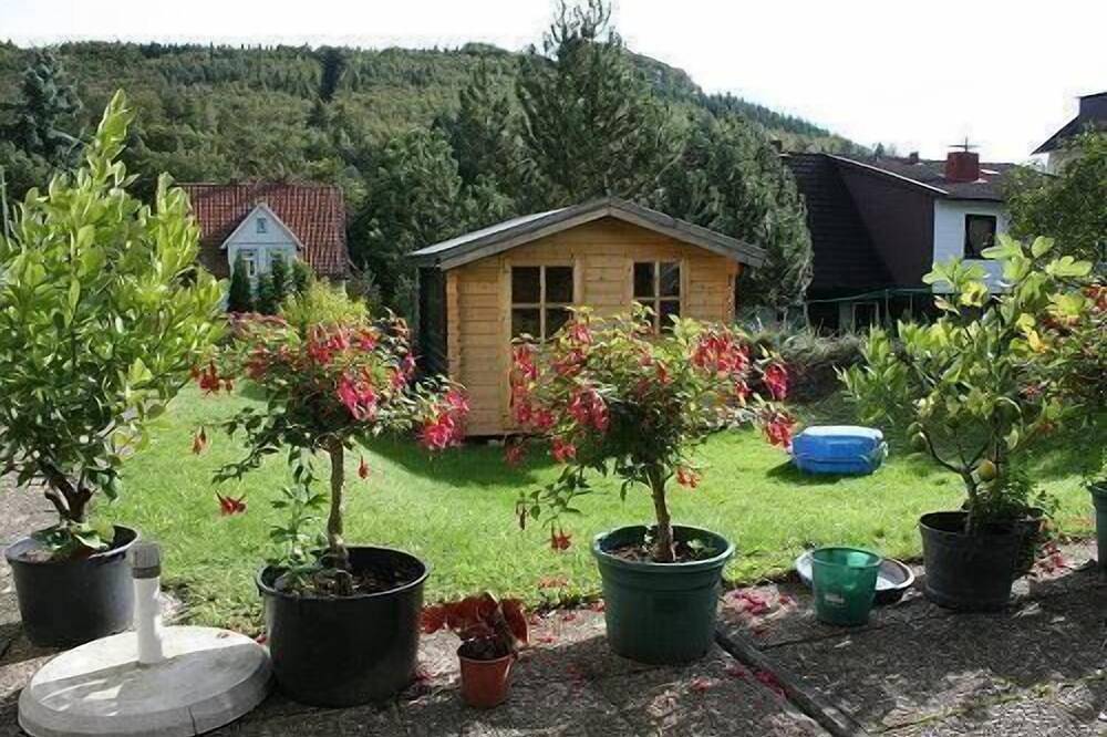 Ganze Wohnung, Haus Schneider, kleine Ferienwohnung in Wolfshagen, Langelsheim