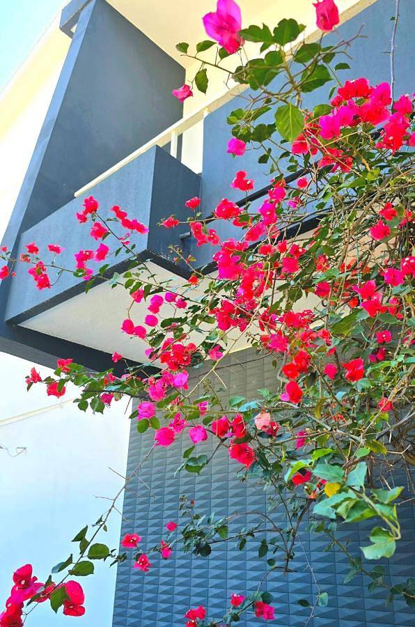 Casa de férias para 6 pessoas, com varanda e vista em Braga