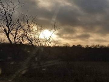 Ferieudlejning til 8 Personer i Dannemare, Lolland, Billede 4