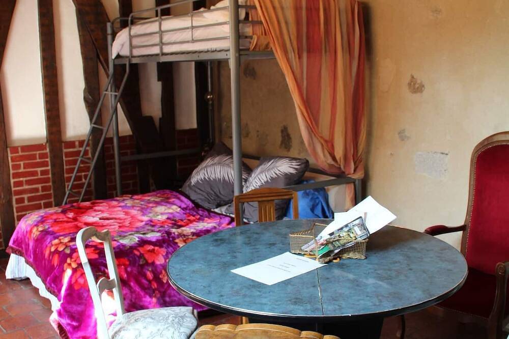 Entire apartment, \"Le 37.2\" T1 apartment in quiet city center Pets welcome in Alençon, Alençon region