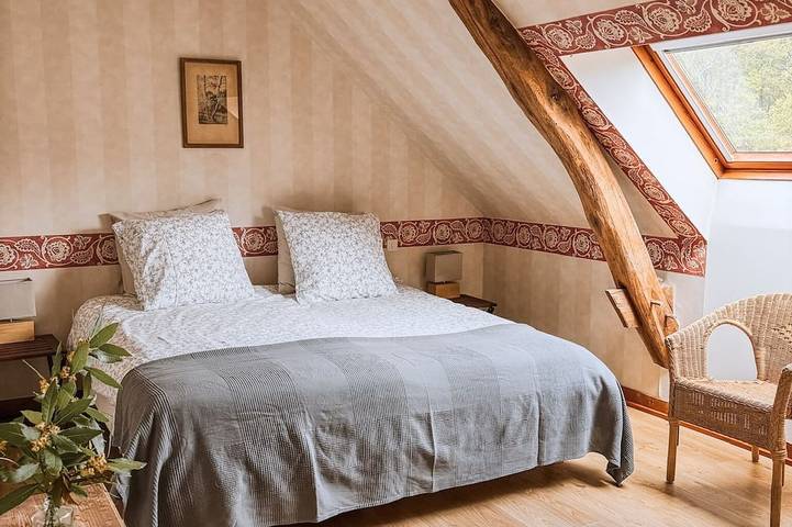 Gîte pour 12 personnes, avec jardin à Saint-Étienne-de-Chigny - 3