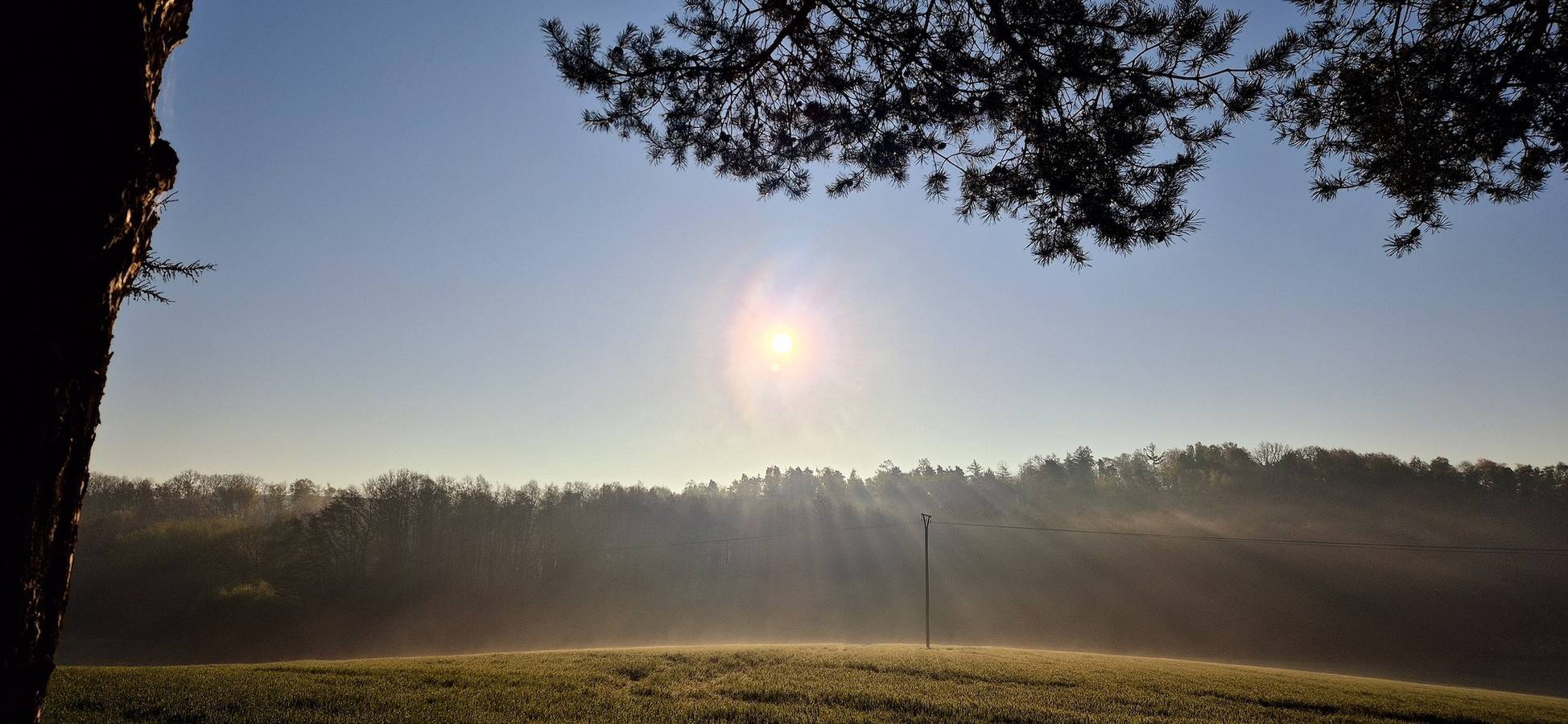 Ganze Ferienwohnung, Ferienapartment Haus am Grün 2 "Sunshine" - Ruhe & Entspannung mitten in der Natur in Herzberg am Harz, Harzvorland