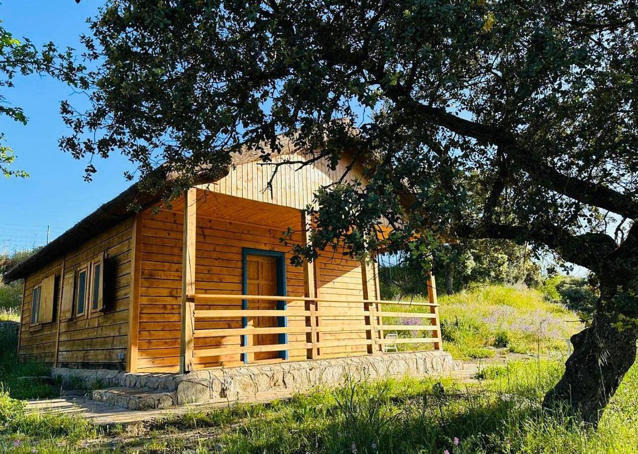 Hamlet's Friends in Nuño Gómez, Provincia de Toledo