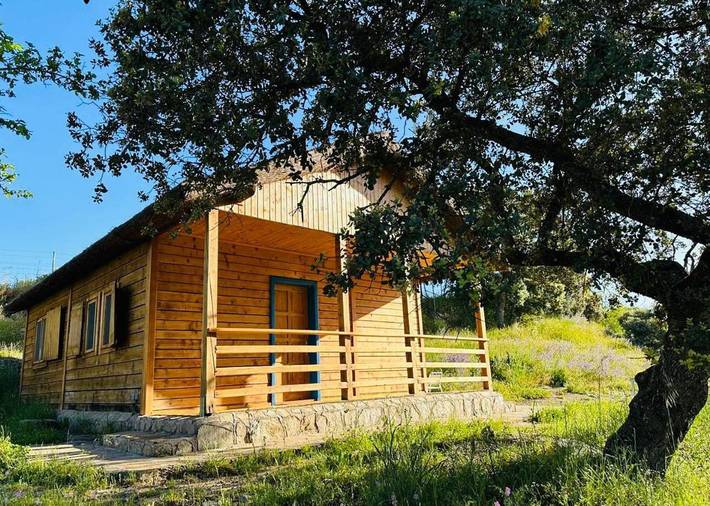Casa rural para 3 personas, con vistas y jardín, Se admiten mascotas en Provincia de Toledo - 3