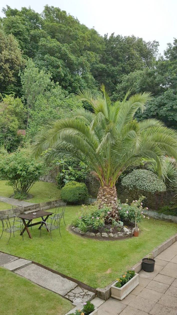 Location de vacances pour 3 personnes, avec vue et jardin dans Saint-Hélier - 4