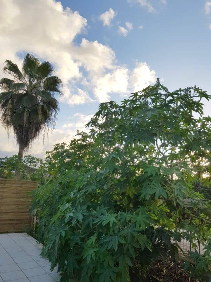 Chambre d’hôte pour 2 personnes, avec terrasse