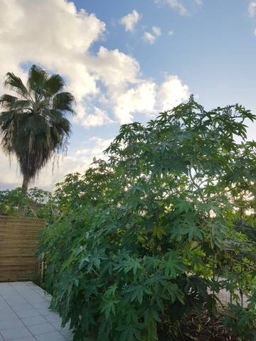 Chambre d’hôte pour 2 personnes, avec terrasse à Baie-Mahault