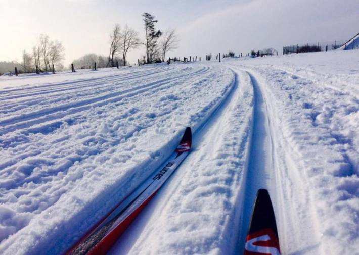 Location de vacances pour 3 personnes, avec terrasse et vue dans les Hautes Fagnes
