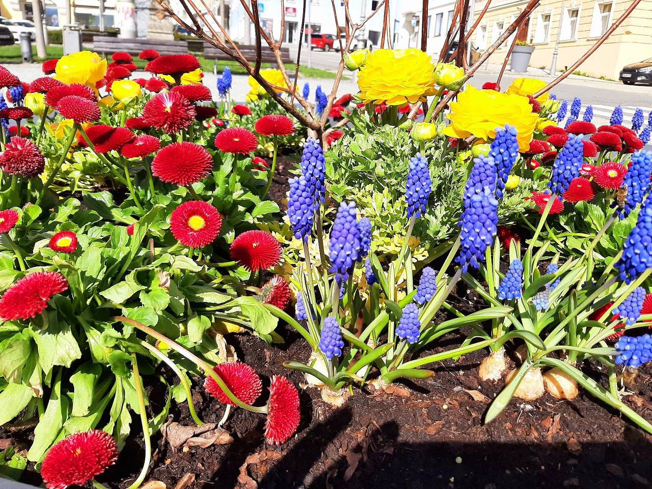 Haus Naturenergie - 1-Zi große Ferienwohnung Og mit Balkon in Frauenau, Baviera Oriental