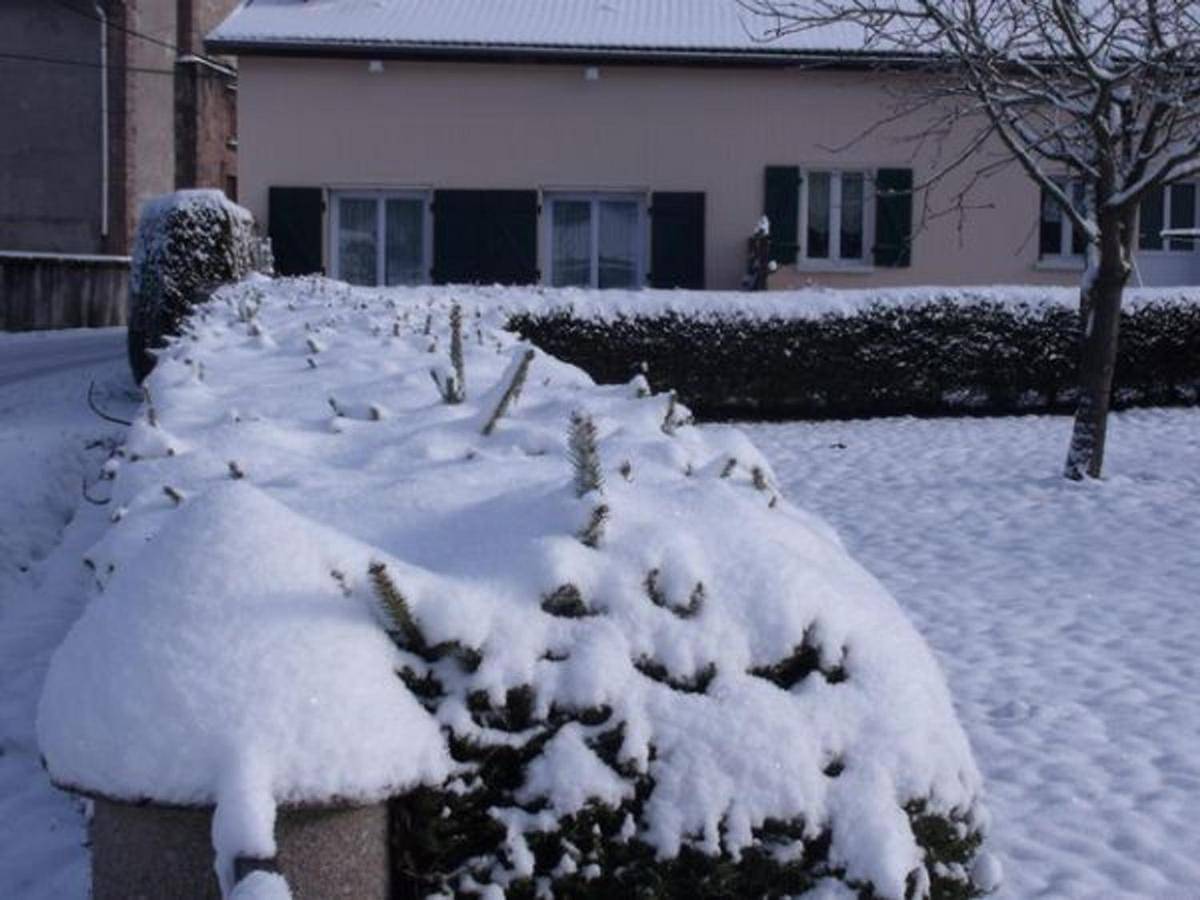 Holiday Home (3 adults) in Biffontaine, Saint-Dié-des-Vosges