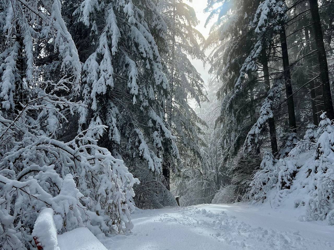 Umundum Hütte - Umundumhütte in Teufenbach-Katsch, Murau (Kreischberg)