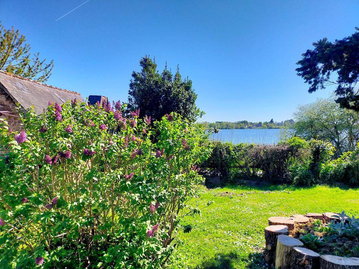 Au bord du lac Vioreau 44 in Lac de Vioreau, Joué-sur-Erdre