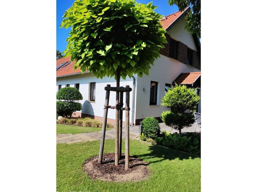 Altschulze "Leichhardt" in Ressen-Zaue, Schwielochsee