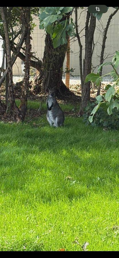 Location de vacances pour 4 personnes, avec jacuzzi ainsi que jardin et terrasse à Asnières-la-Giraud - 2