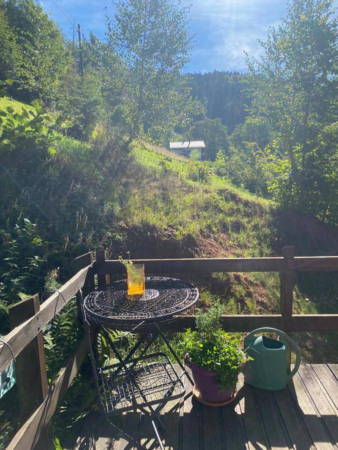 Gîte pour 2 personnes, avec vue et jardin dans Station du Champ du Feu - 2