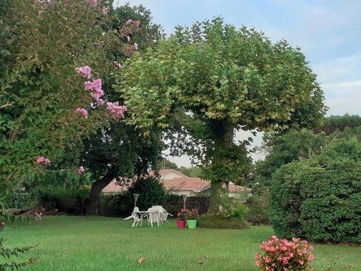 Location de vacances pour 5 personnes à Pissos - 2