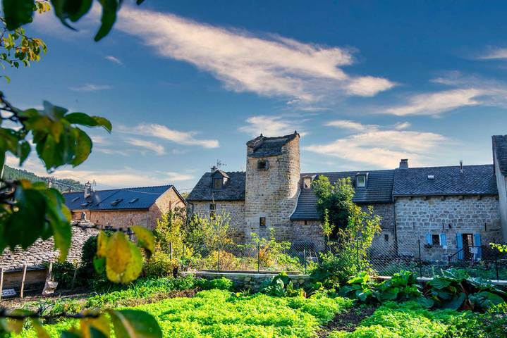 Gîte pour 4 personnes, avec jardin à Saint-Étienne-du-Valdonnez - 3