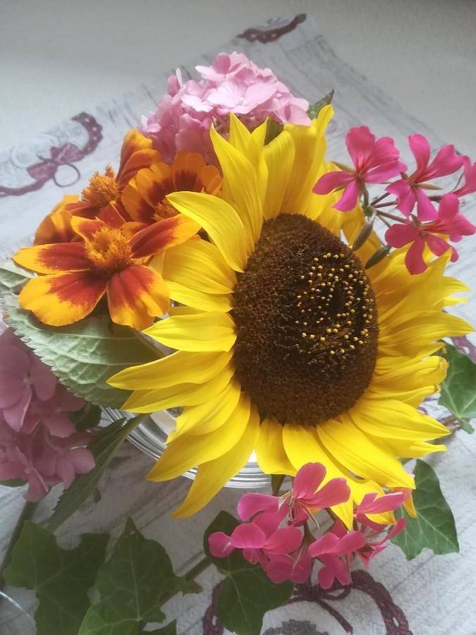 BnB für 2 Personen, mit Haustier in Südtirol - 3