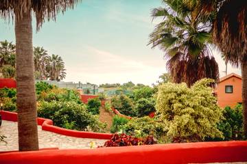 Casa De Vacaciones para 5 Personas en Icod de los Vinos, Tenerife Norte, Foto 4