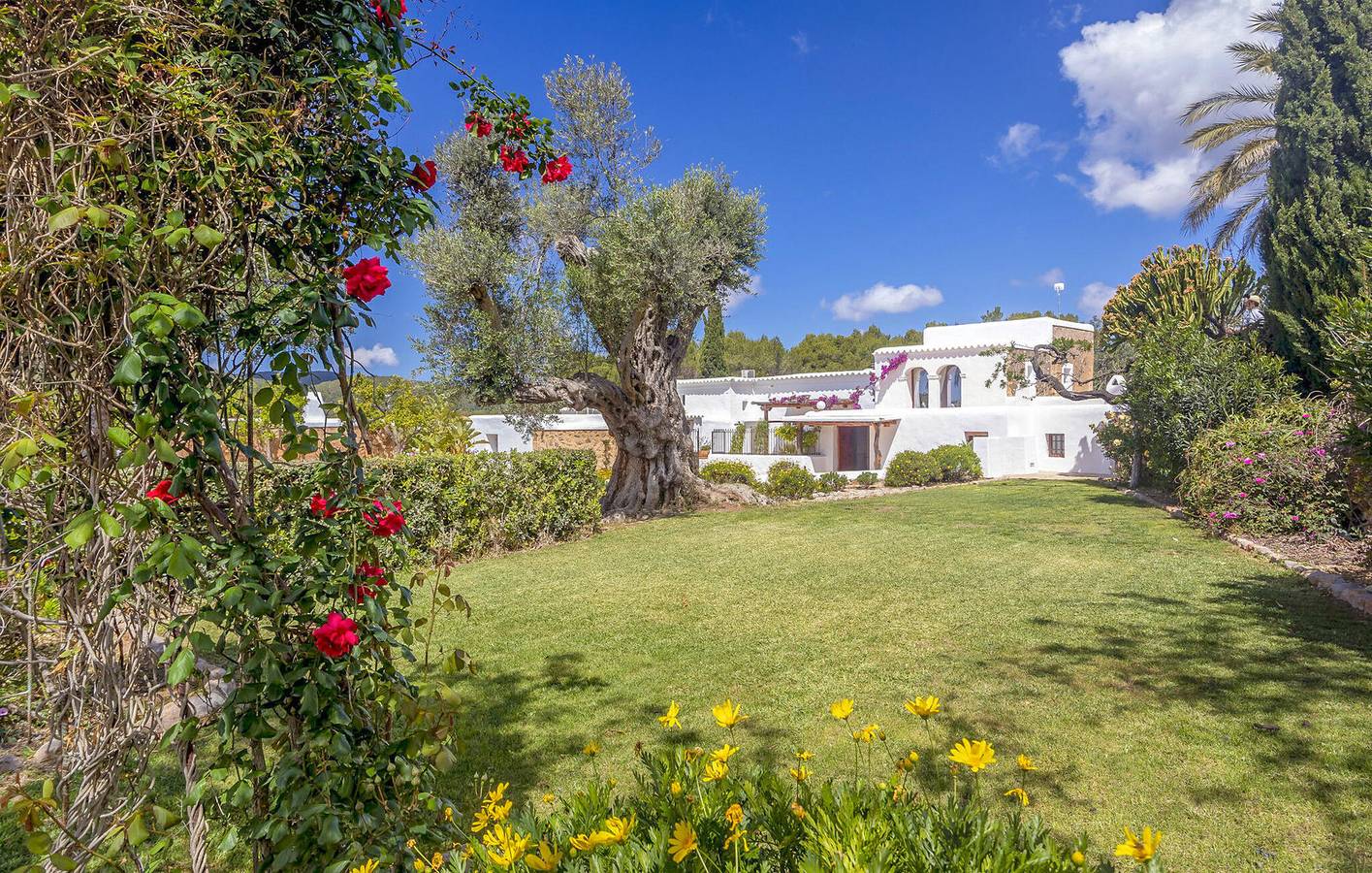 Schickes Apartment mit Terrasse, Pool und Parkplatz in St Llorenc de Balafia, Sant Joan de Labritja