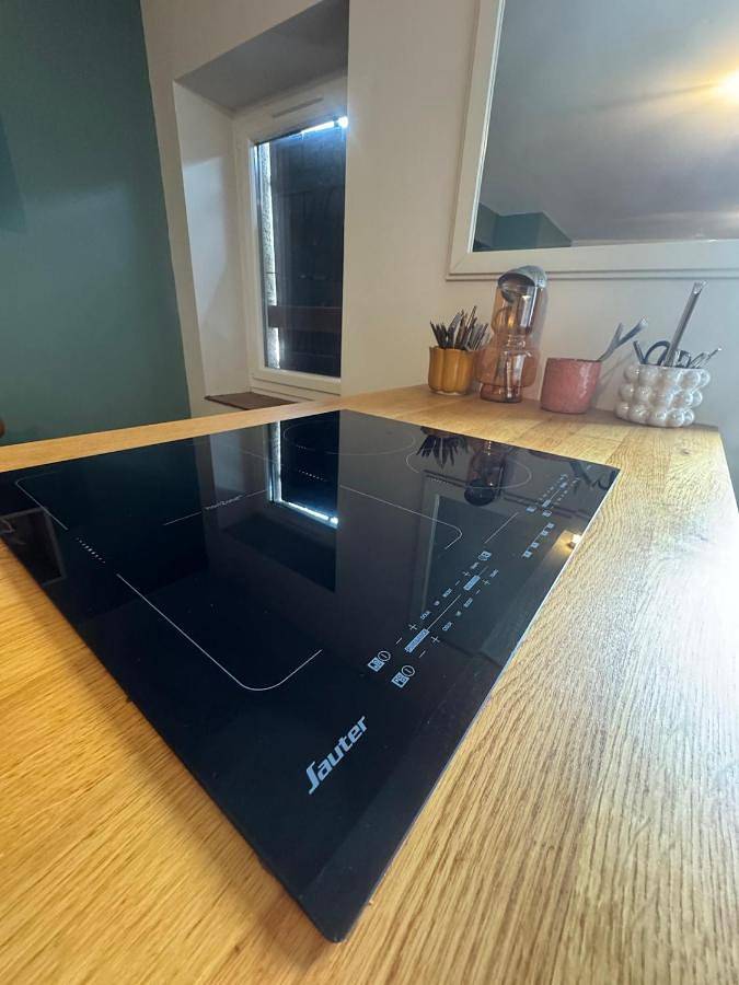 Gîte pour 2 personnes, animaux acceptés à Condrieu - 3