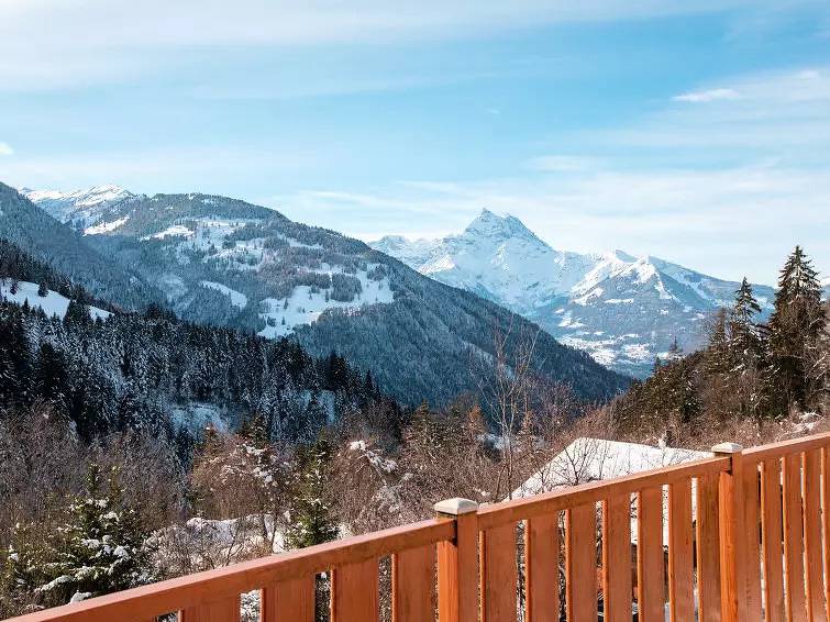 Chalet 8 Personnes in Gryon, Alpes Vaudoises