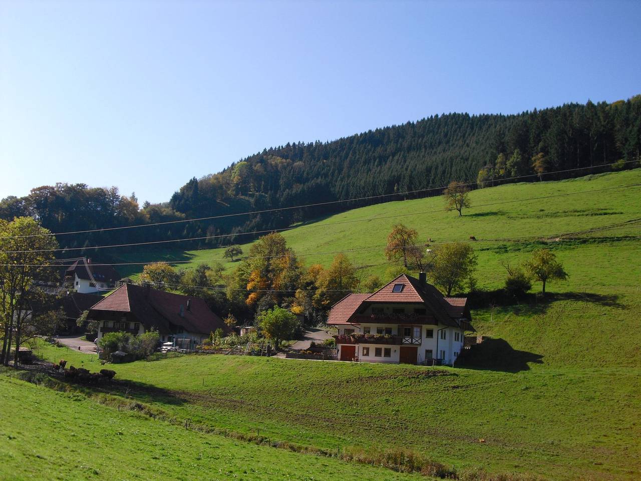 Ganze Ferienwohnung, Stulzenhof in Hofstetten, Mittlerer Schwarzwald