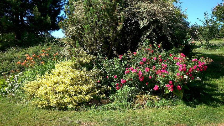 Chambre d’hôtes « Bois de Rose » avec jardin privé et Wi-Fi in Sainte-Thérèse-en-Pays-de-Falaise, Région de Caen