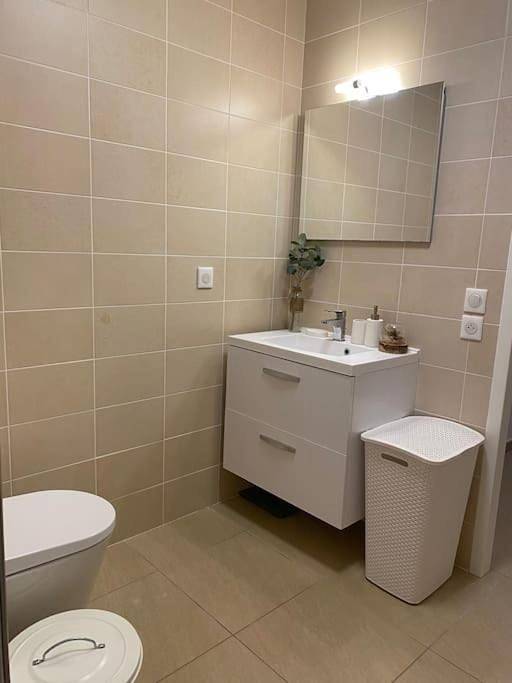 Gîte pour 2 personnes, avec terrasse à Douvaine - 3