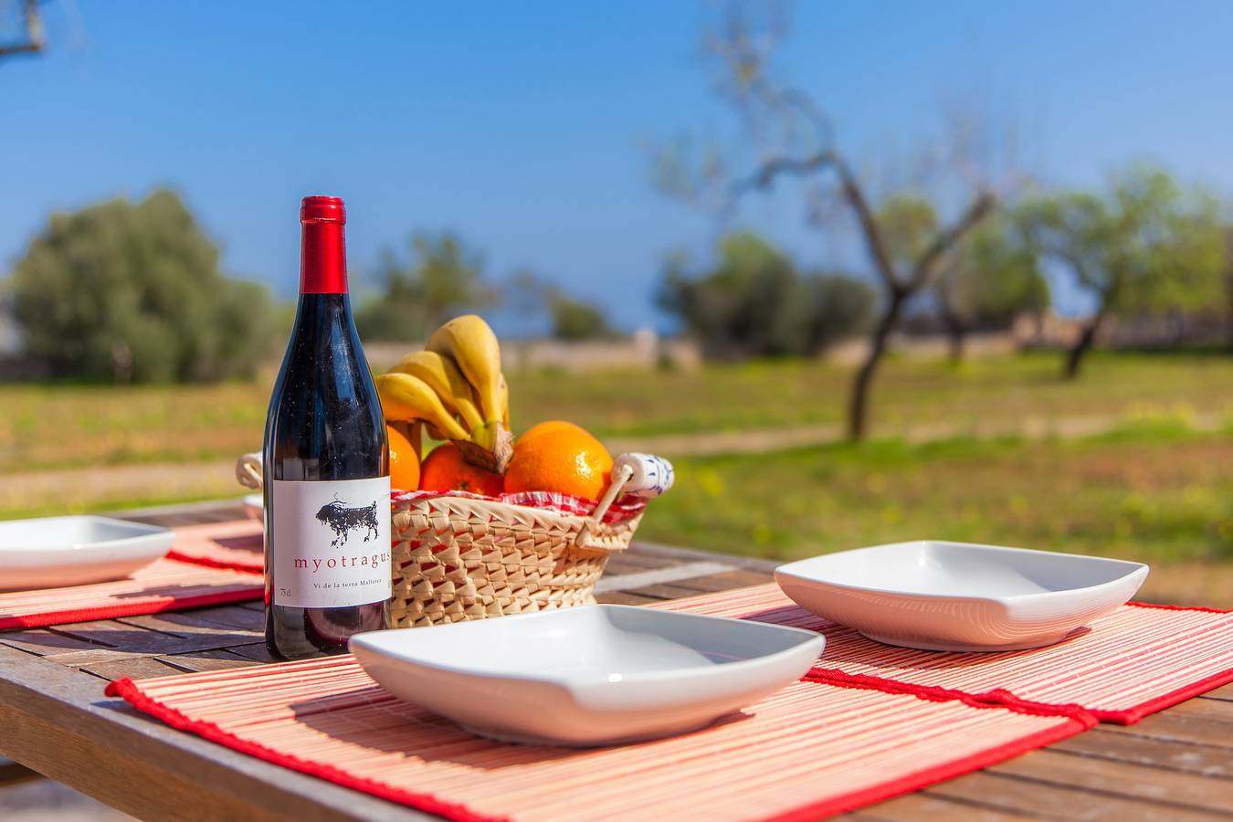 Vacation Home "Sa Casona" in a Rural Area and Near the Beach in Felanitx, South Majorca