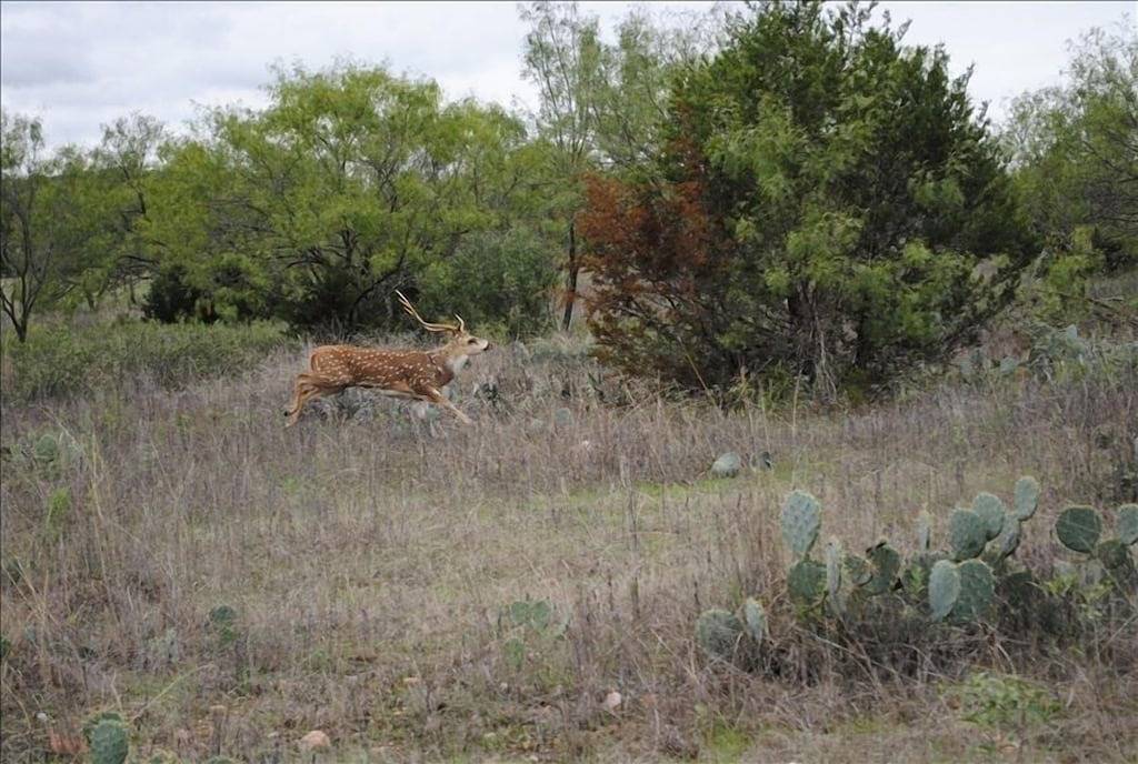 Atemberaubende Aussicht auf die Berge mit neuem Whirlpool in Gillespie County