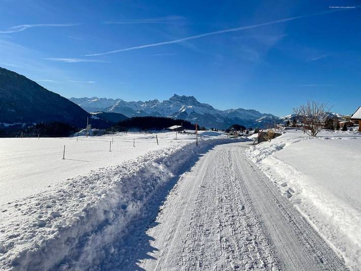 Chambre d’hôte pour 3 personnes, avec jardin et terrasse à Leysin