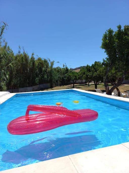 Apartamento inteiro, One-Bedroom Apartment in Caia, São Pedro e Alcáçova, Elvas