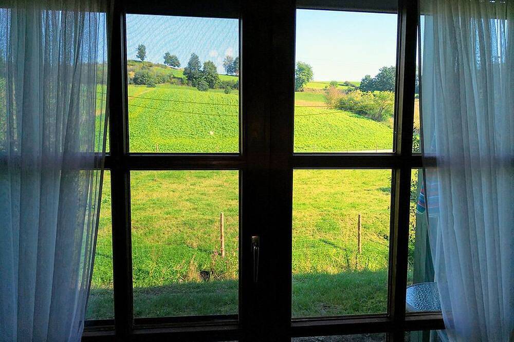 Ganze Wohnung, Gemütliches Feriendomizil (57 m2) in Bad Birnbach mit Terrasse in Bad Birnbach, Bayerische Golf und Thermenland