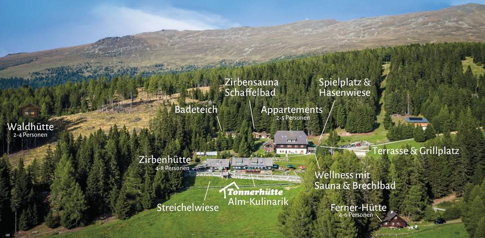 Ganze Ferienwohnung, Appartement Zwergmargarite in Mühlen, Lavanttaler Alpen