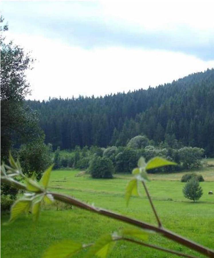 Two-Bedroom House in Drachselsried, Ostbayern