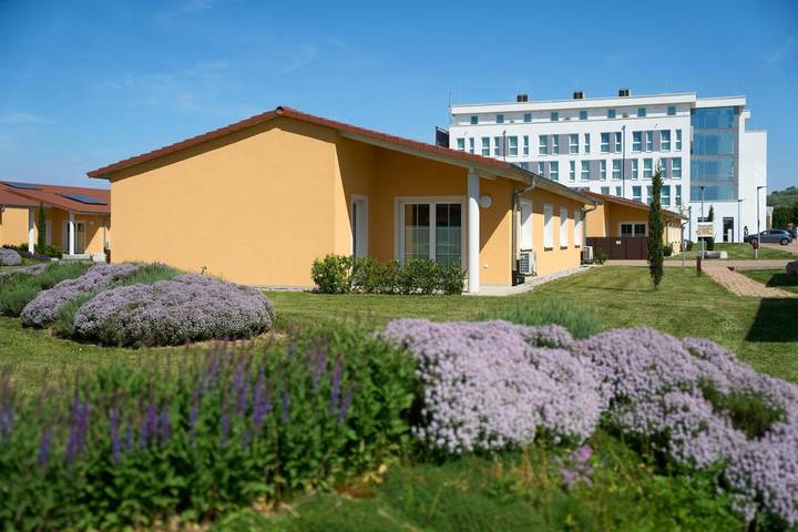 Hotel für 3 Personen, mit Terrasse und Garten in Ringsheim - 4