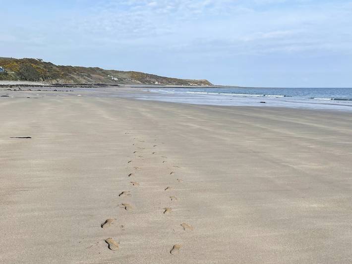 Ferienhaus für 4 Personen, mit Garten, mit Haustier in Schottland - 2