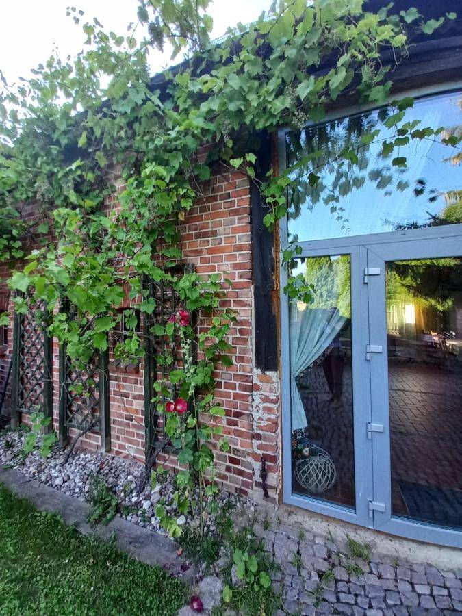 Suite with Terrace in Baltic Sea Pomerania