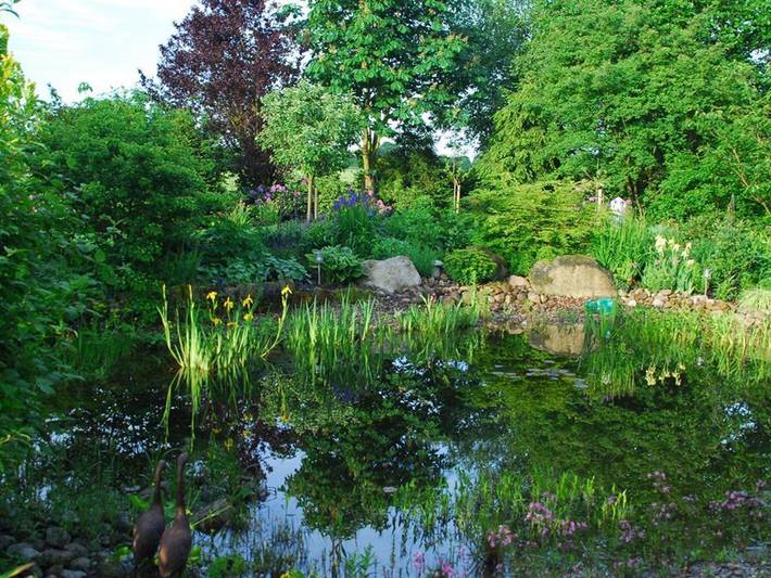 Ferienwohnung für 2 Personen, mit Terrasse und Garten, kinderfreundlich in Walsrode - 2
