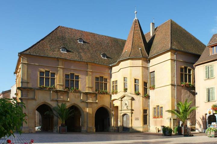 Gîte pour 3 personnes dans Ensisheim - 4