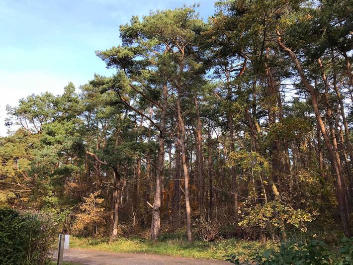 Ferienhaus für 6 Personen, mit Garten und Terrasse, kinderfreundlich in Breege - 4