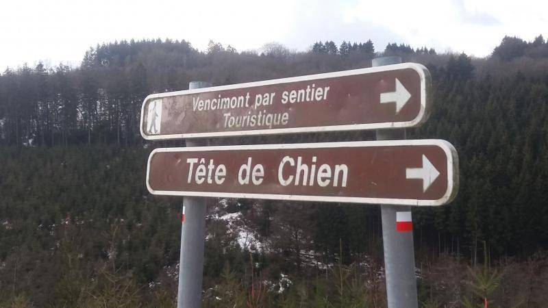 Chambre d’hôte pour 8 personnes, avec jardin à Gedinne - 3