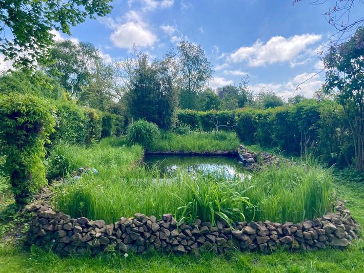 Ferienhaus für 5 Personen, mit Terrasse und Garten in Neugarmssiel - 4